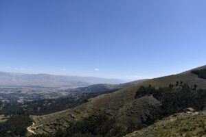 Parque de Los Pinos donde se ve el paisaje de árboles