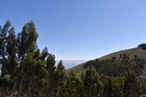 Paisaje Parque de Los Pinos